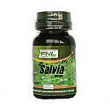 Salvia 60 Caps 300 mg